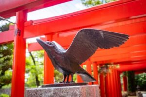 カラスは本当に縁起が悪い鳥なのか？